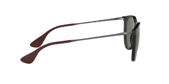 Ray-Ban 0RB4171 ERIKA