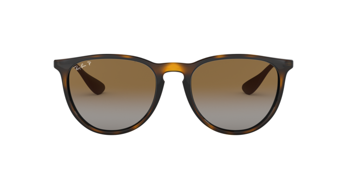 Ray-Ban 0RB4171 ERIKA