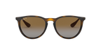 Ray-Ban 0RB4171 ERIKA