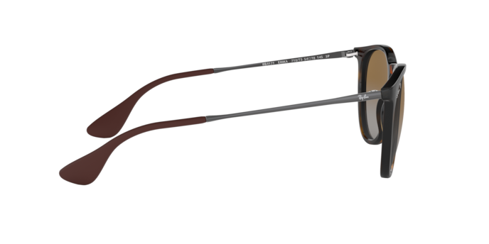 Ray-Ban 0RB4171 ERIKA