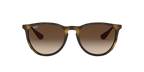 Ray-Ban 0RB4171 ERIKA