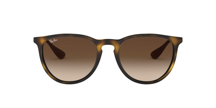 Ray-Ban 0RB4171 ERIKA