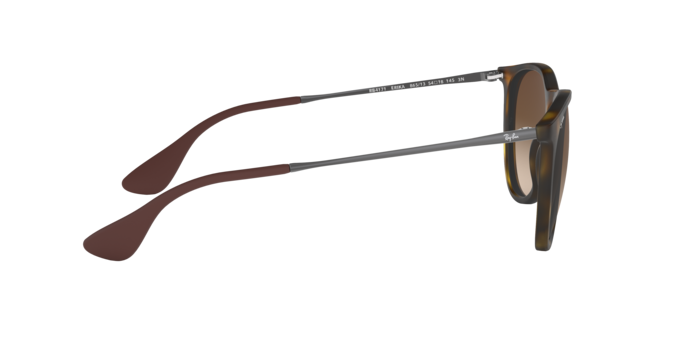 Ray-Ban 0RB4171 ERIKA