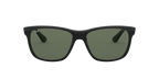 Ray-Ban 0RB4181 RB4181