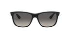 Ray-Ban 0RB4181 RB4181