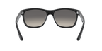 Ray-Ban 0RB4181 RB4181