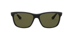 Ray-Ban 0RB4181 RB4181