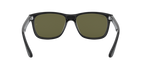 Ray-Ban 0RB4181 RB4181