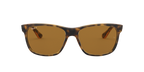 Ray-Ban 0RB4181 RB4181