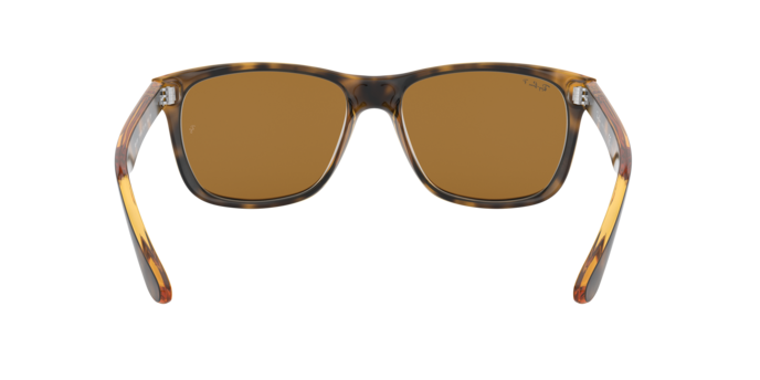 Ray-Ban 0RB4181 RB4181
