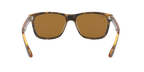 Ray-Ban 0RB4181 RB4181