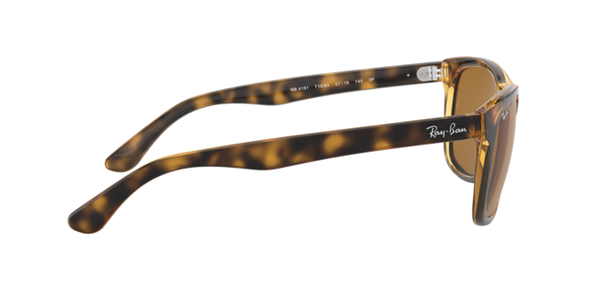 Ray-Ban 0RB4181 RB4181