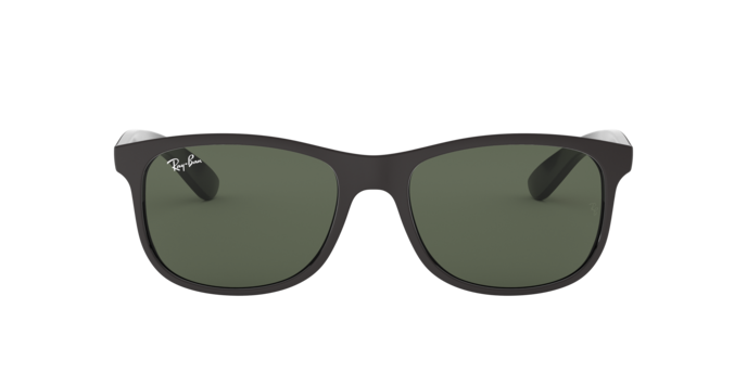 Ray-Ban 0RB4202 ANDY