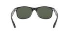 Ray-Ban 0RB4202 ANDY