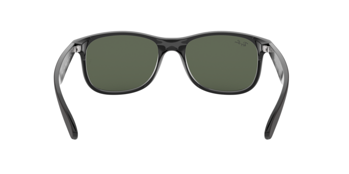 Ray-Ban 0RB4202 ANDY