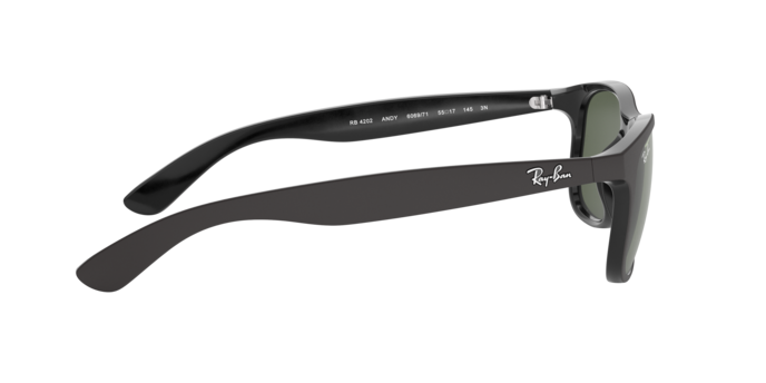 Ray-Ban 0RB4202 ANDY