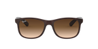 Ray-Ban 0RB4202 ANDY