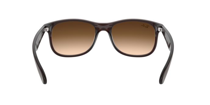 Ray-Ban 0RB4202 ANDY