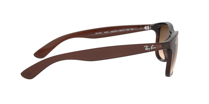 Ray-Ban 0RB4202 ANDY