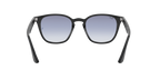 Ray-Ban 0RB4258F