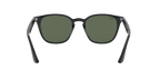 Ray-Ban 0RB4258F