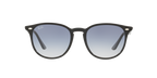 Ray-Ban 0RB4259F