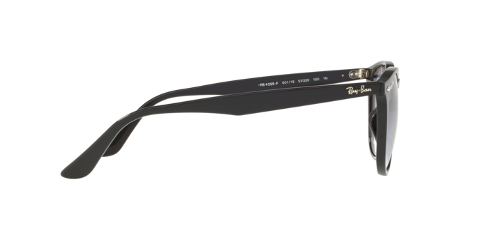 Ray-Ban 0RB4259F