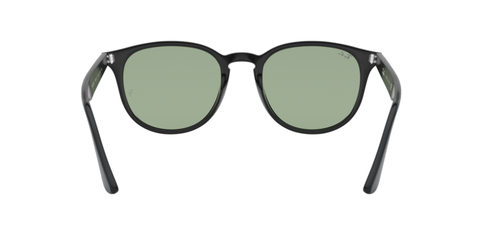 Ray-Ban 0RB4259F