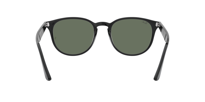 Ray-Ban 0RB4259F