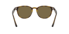 Ray-Ban 0RB4259F