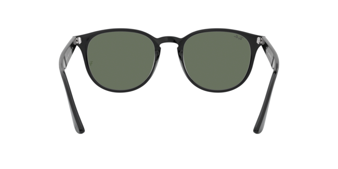 Ray-Ban 0RB4259