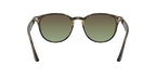Ray-Ban 0RB4259
