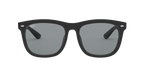 Ray-Ban 0RB4260D