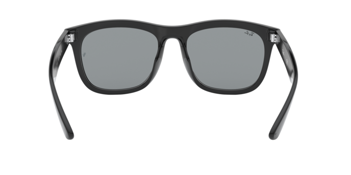 Ray-Ban 0RB4260D