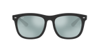Ray-Ban 0RB4260D