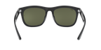 Ray-Ban 0RB4260D