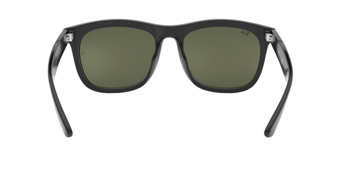 Ray-Ban 0RB4260D