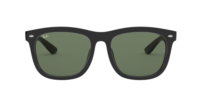 Ray-Ban 0RB4260D