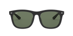 Ray-Ban 0RB4260D