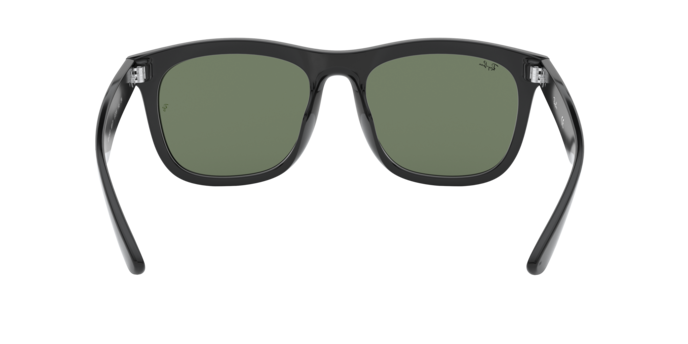 Ray-Ban 0RB4260D