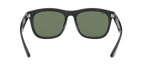 Ray-Ban 0RB4260D