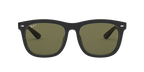 Ray-Ban 0RB4260D