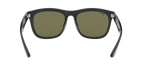 Ray-Ban 0RB4260D
