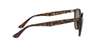 Ray-Ban 0RB4305