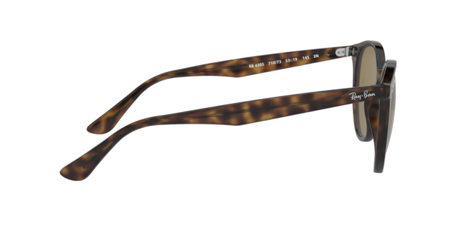 Ray-Ban 0RB4305