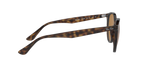 Ray-Ban 0RB4305