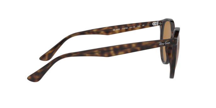 Ray-Ban 0RB4305
