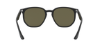 Ray-Ban 0RB4306F