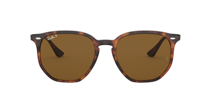 Ray-Ban 0RB4306F