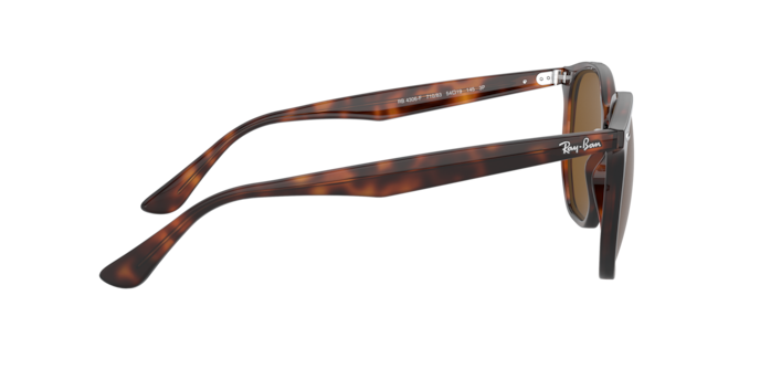 Ray-Ban 0RB4306F